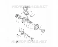 CRANKSHAFT 250/300