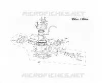 CYLINDER / HEAD