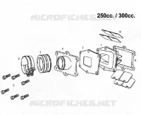 INTAKE REED VALVE