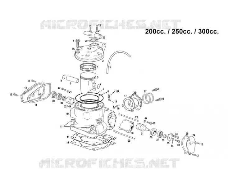 CYLINDER / HEAD
