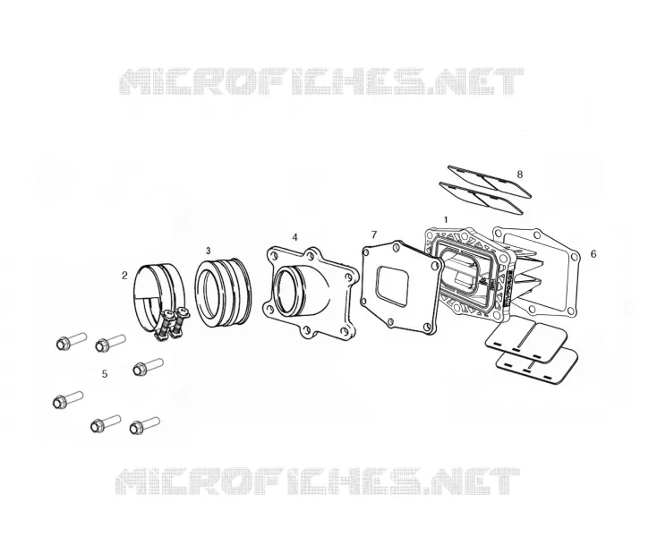 INTAKE REED VALVE