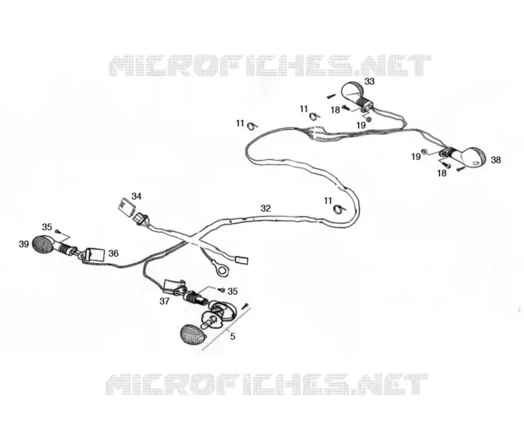 ELECTRICAL HOMOLOG