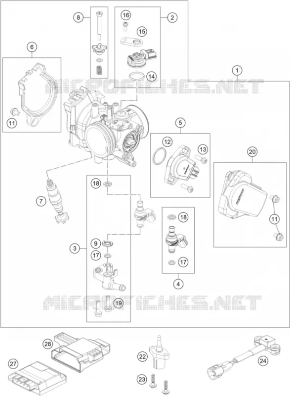 THROTTLE BODY
