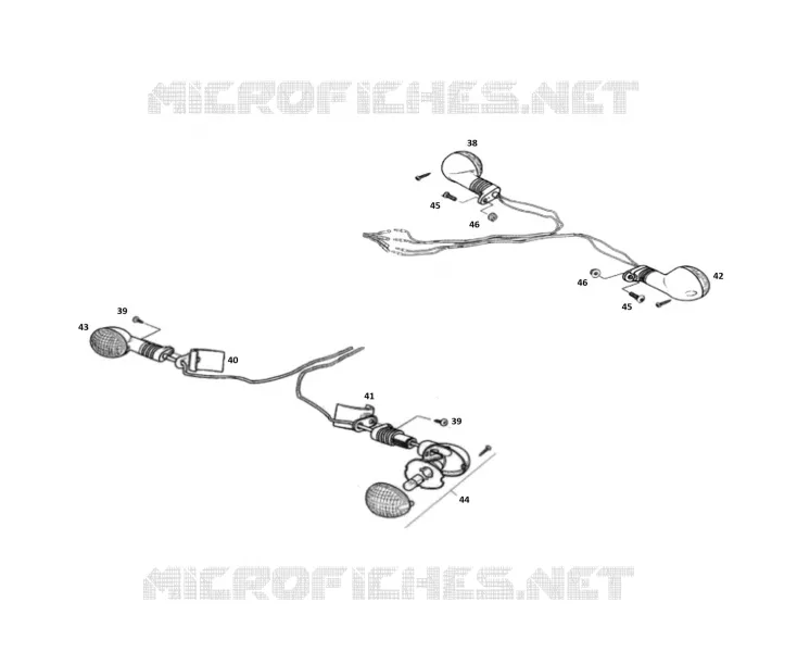 ELECTRICAL HOMOLOG
