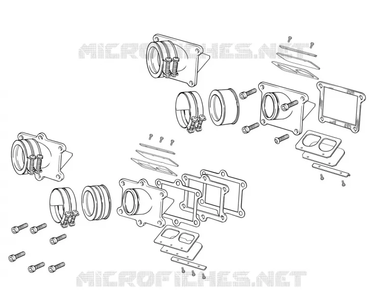 INTAKE REED VALVE