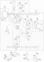 THROTTLE BODY