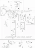 THROTTLE BODY