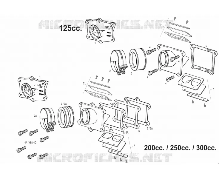 INTAKE REED VALVE