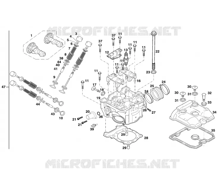 CYLINDER / HEAD